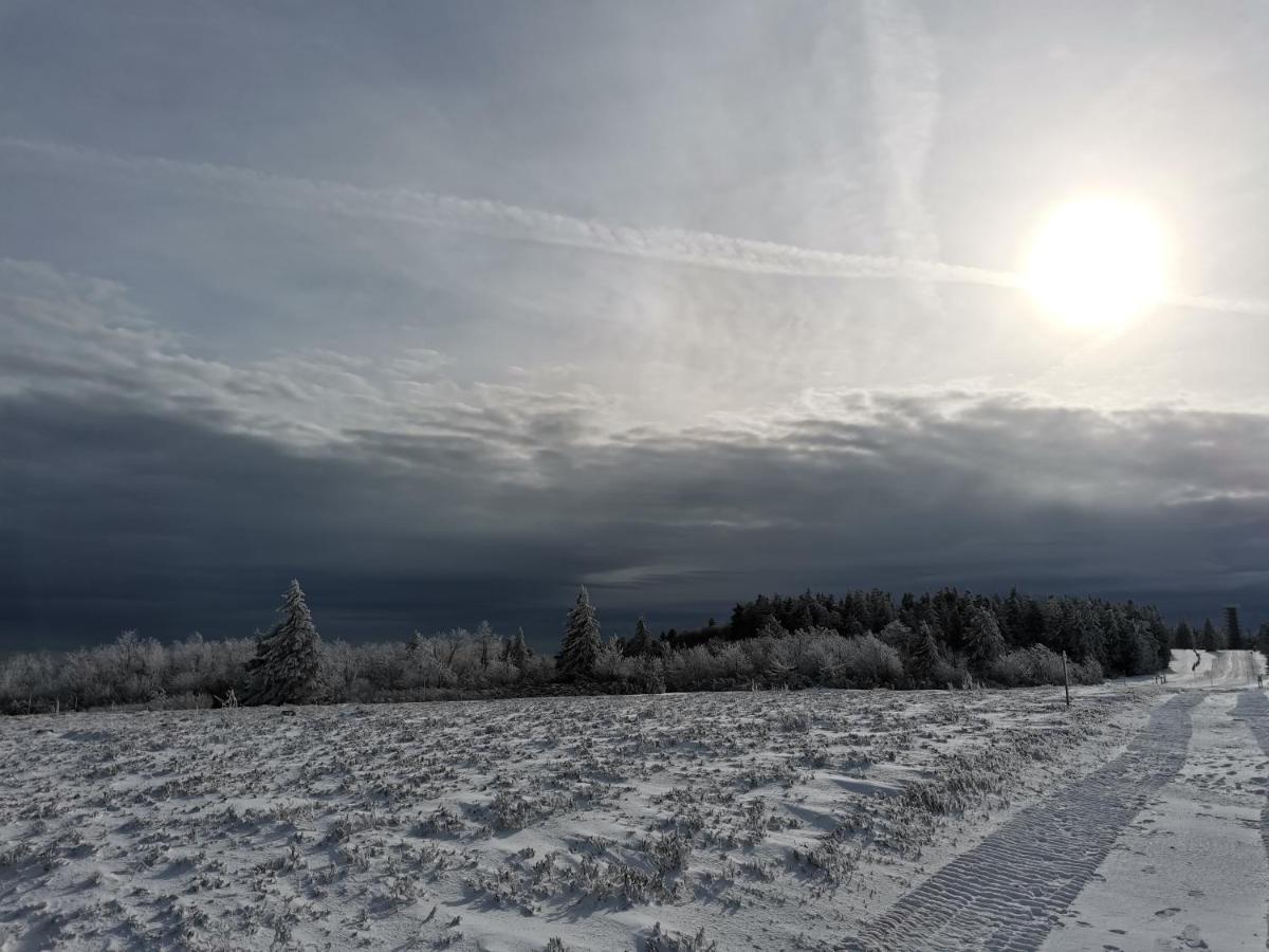 Gite Du Cerf Birkenwald Eksteriør billede