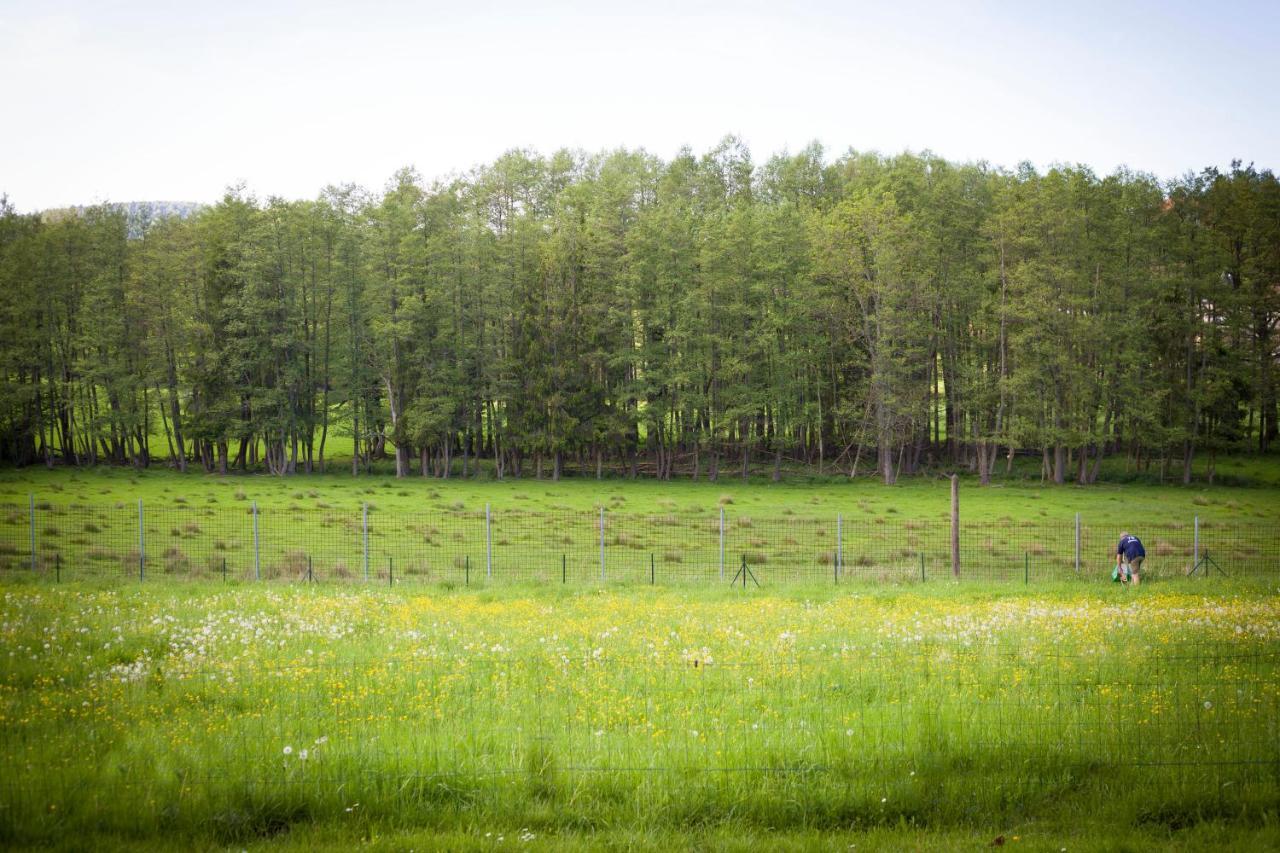 Gite Du Cerf Birkenwald Eksteriør billede